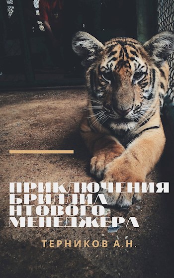 Приключения Бриллиантового Менеджера - Терников Александр